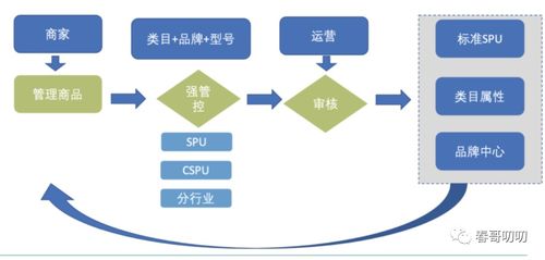 電商系統(tǒng)中商品模型與類(lèi)目體系設(shè)計(jì)與信息系統(tǒng)集成服務(wù)